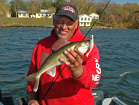 Walleye Caught On Artificial Bait